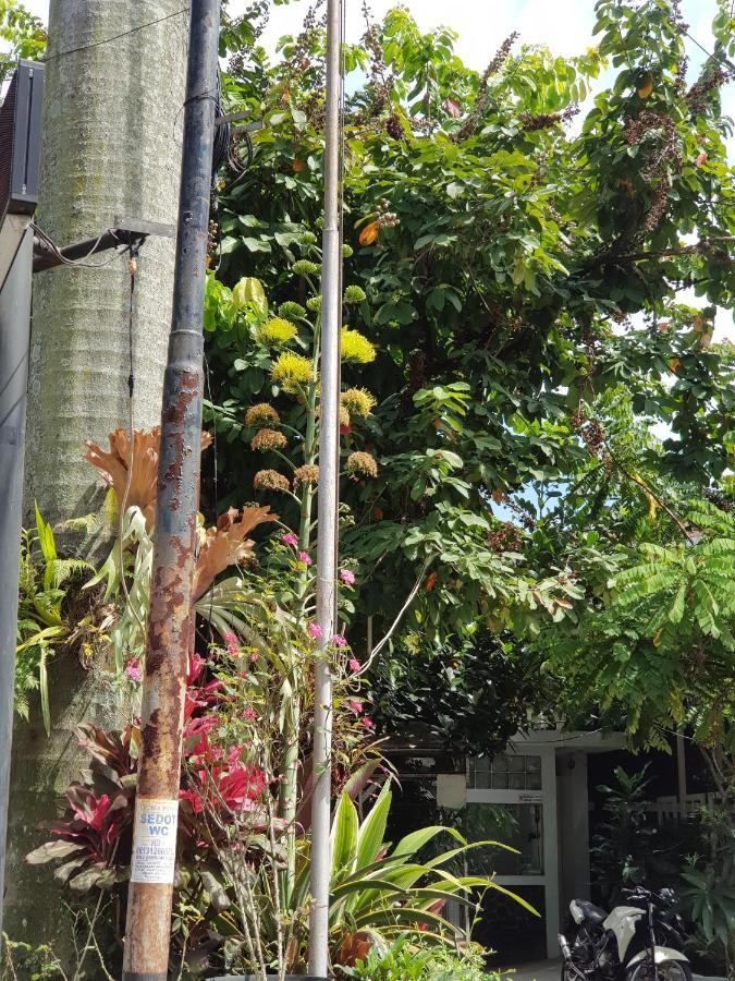 La Nostalgie Boutique Guest House Bandung Luaran gambar